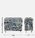 Cleo_Bone_Inlay_Storage_Chest.webp
