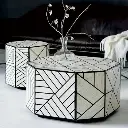 Bone Inlay coffee Table - greta